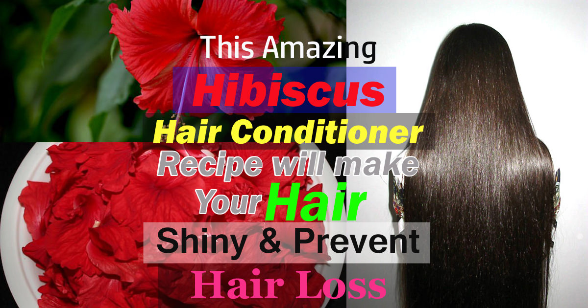 This Amazing Hibiscus Hair Conditioner Recipe Will Make Your Hair Shiny And Prevent Hair Loss 6686