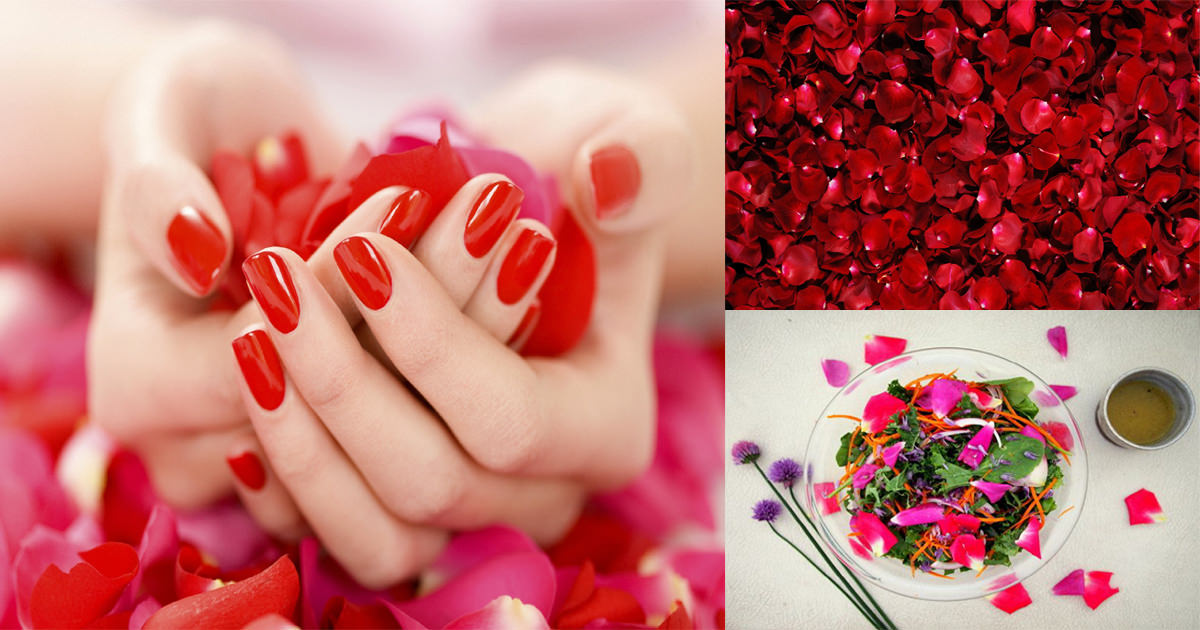 10-best-ways-to-use-rose-petals-in-the-home-and-kitchen-bright-stuffs