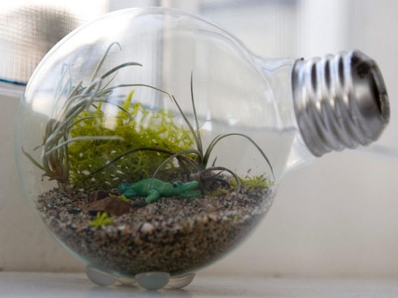 Recycle Old Light Bulbs--18 Creative DIY Light Bulb Ideas To Try!