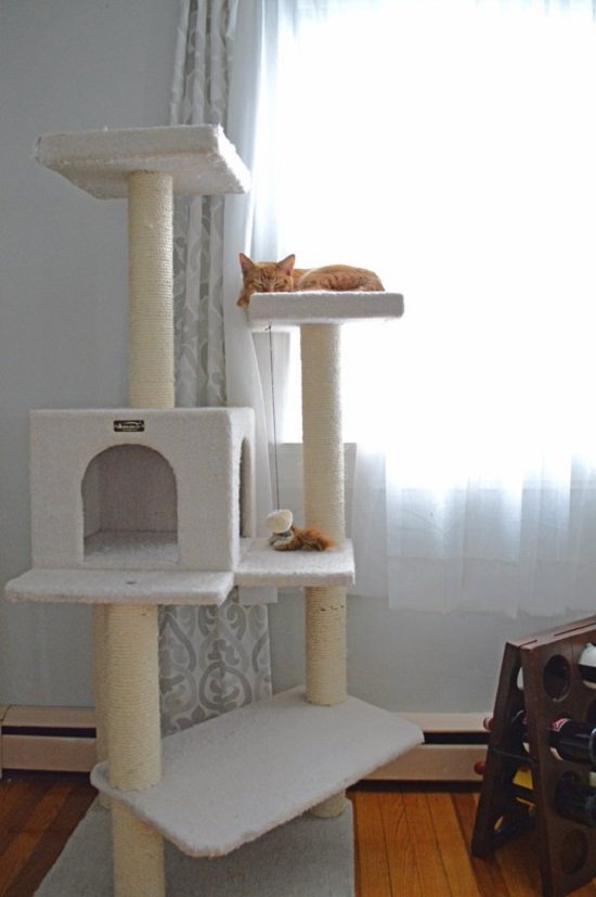 DIY Floating Cat Shelves