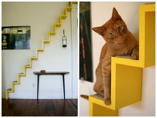 DIY Cat Shelves