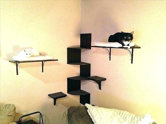 DIY Cat Shelves