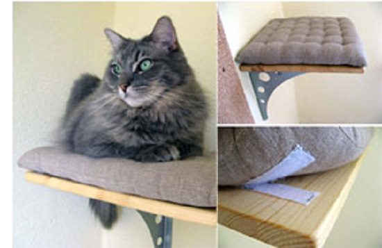 DIY Floating Cat Shelves
