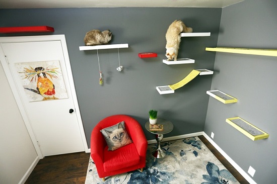 DIY Floating Cat Shelves