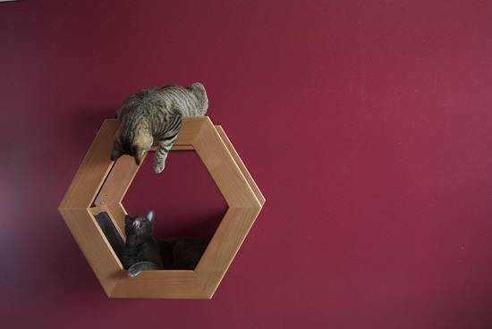 DIY Floating Cat Shelves