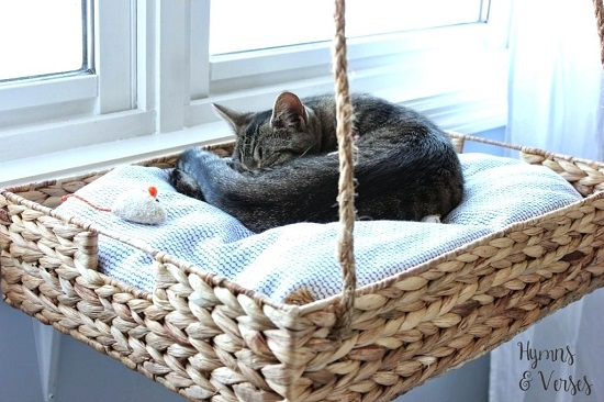 DIY Floating Cat Shelves