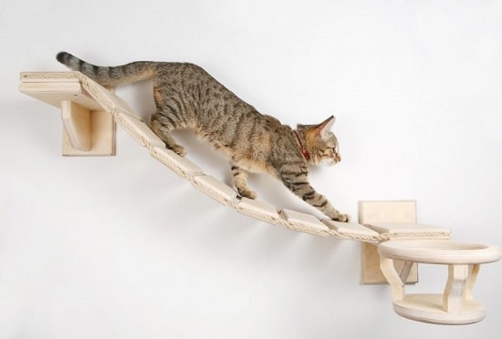 18 DIY Cat Shelves Ideas For Ultimate Cat Lovers