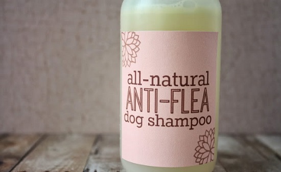 Best Homemade Dog Shampoo 13