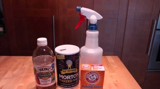 Homemade Flea Spray For Dogs 3