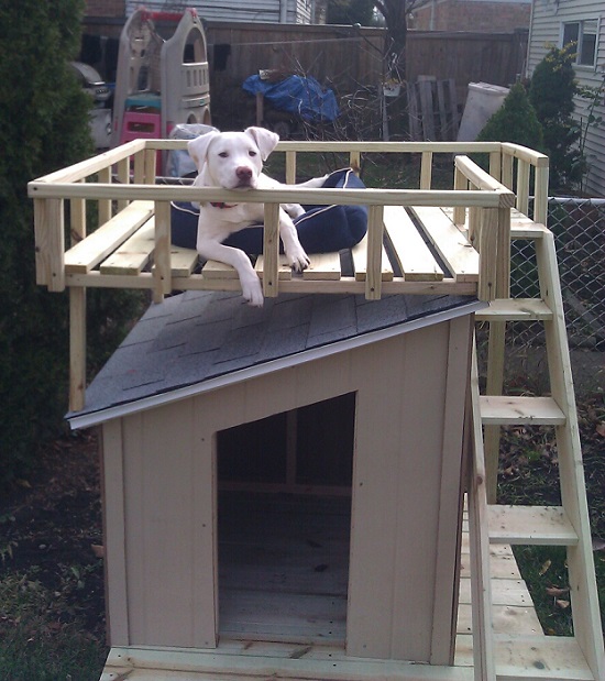 DIY Dog House Ideas