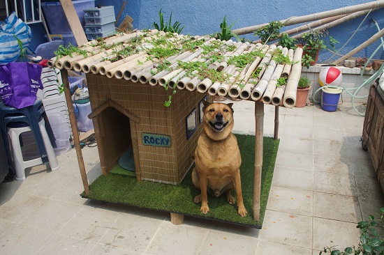 DIY Dog House Ideas