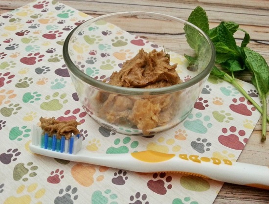 cinnamon dog toothpaste recipe