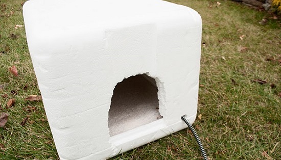 Igloo Cat Shelter