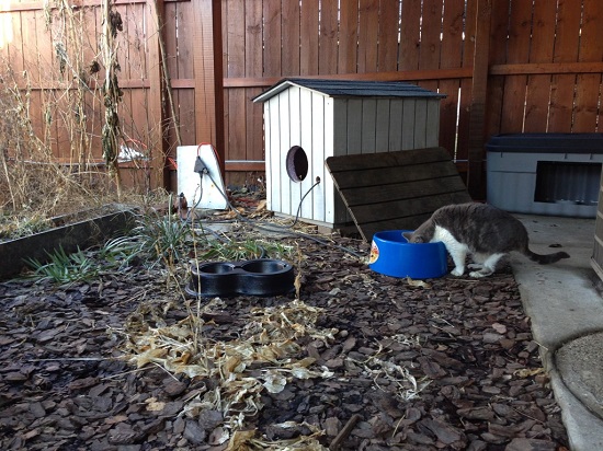 Wooden Cat House