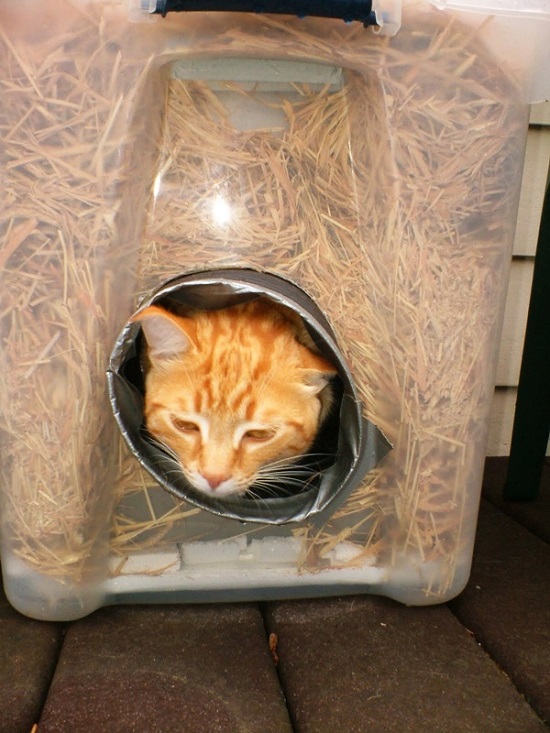 DIY Outdoor Cat House 3