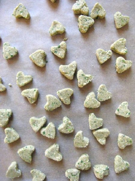 43-diy-homemade-cat-treat-recipes-delicious-healthy-bright-stuffs