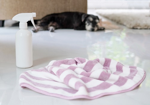 DIY Dog Deodorizer Spray Recipe