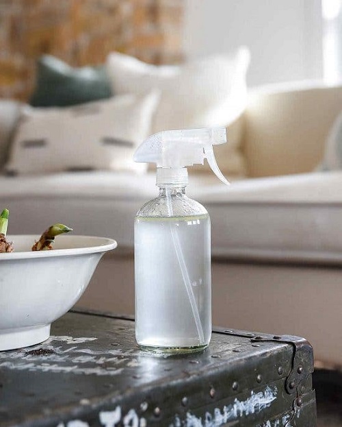 Dog Deodorizer Spray DIY