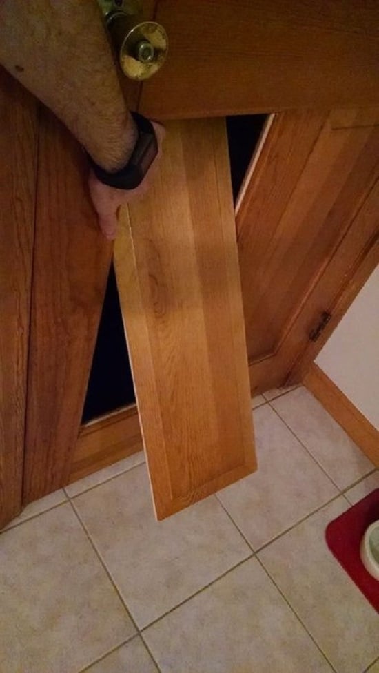 Hidden Cat Door in Panel Door