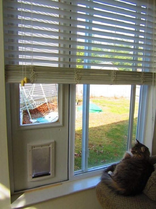 Temporary Cat Door