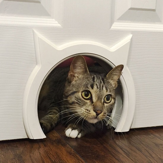 Kitty Pass Interior Cat Door