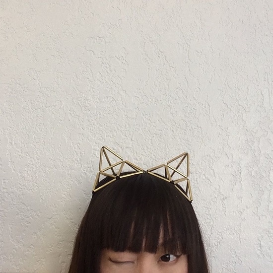 Geodesic Cat Ears