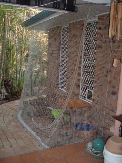 DIY Cat Enclosure Plans 10