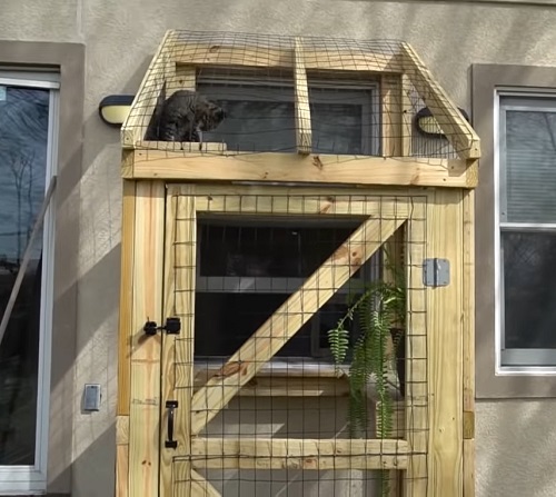 Pallet Cat Shelter DIY