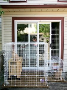 21 Best DIY Cat Enclosure Plans and Ideas | DIY Catio Ideas ⋆ Bright Stuffs