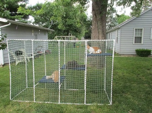 DIY cat enclosure plan 2