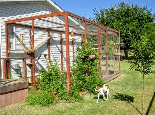 DIY Cat Enclosure Plans 3