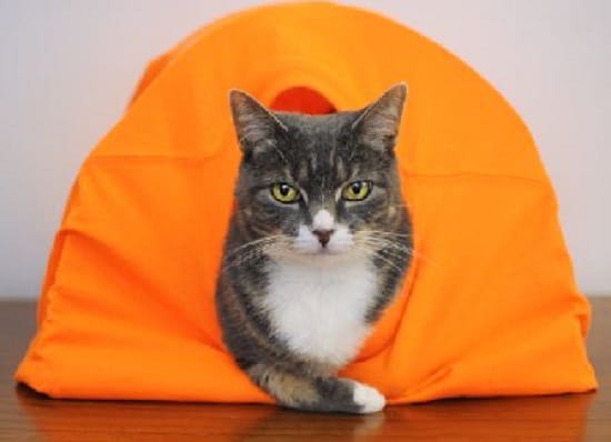 DIY Cat Tent14