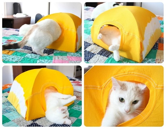 Cara Buat Katil Kucing