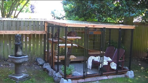 DIY Cat Enclosure Plans 13