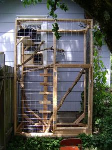 25 Best DIY Cat Enclosure Plans & Ideas ⋆ Bright Stuffs