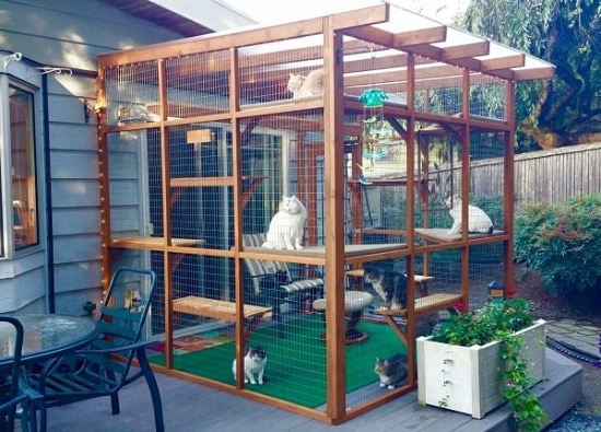 25 Best DIY Cat Enclosure Plans & Ideas ⋆ Bright Stuffs