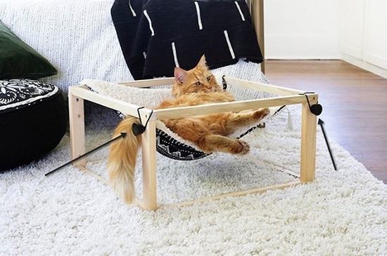 Modern Bed For Kitty