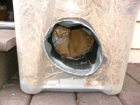 23 DIY Insulated Cat House Ideas For Outdoor Cats ⋆ Bright Stuffs