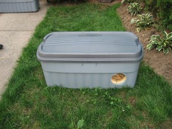 Make an extra-large feral cat shelter from styrofoam coolers 