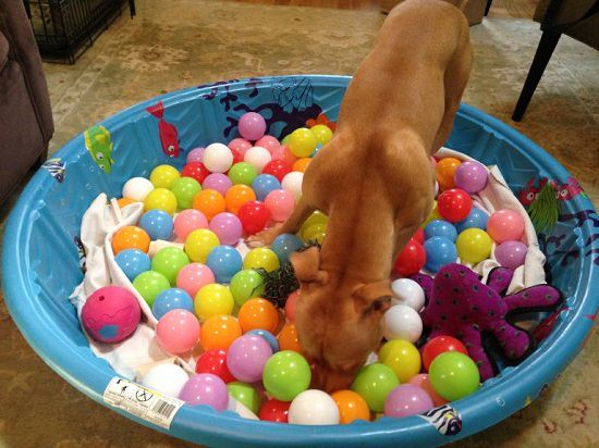 DIY Ball Pit15