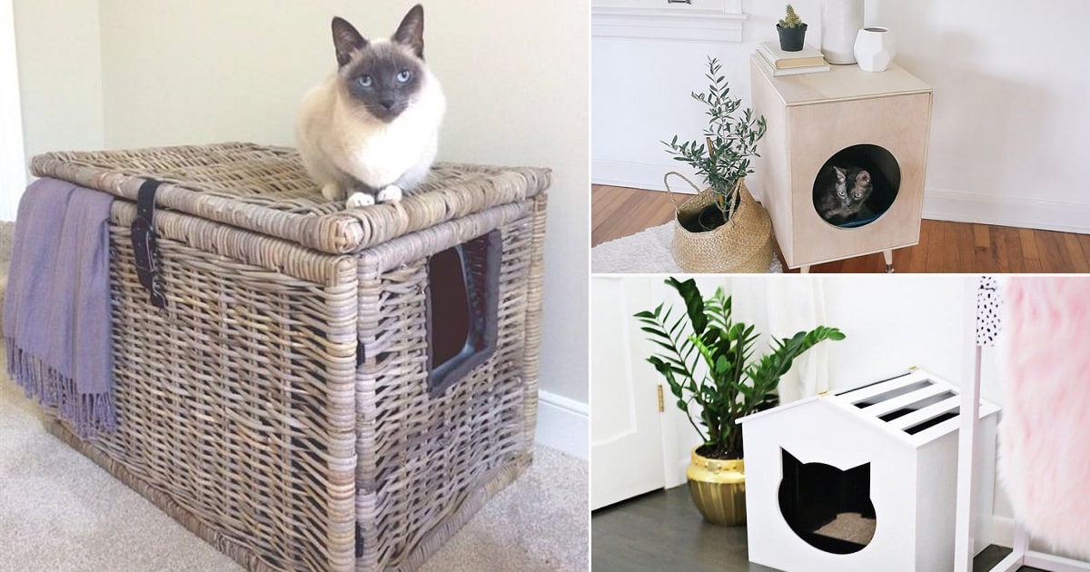 42 DIY Cat Litter Box Best DIY Cat Litter Box ⋆ Bright Stuffs