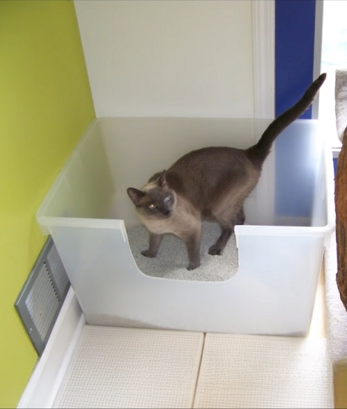 DIY Cat Litter Box 8