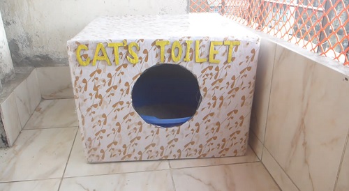 DIY Cat Litter Box 12