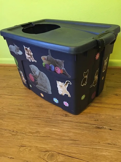 DIY Project – Turn Two Messy Kitty Litter Boxes into a Tricked-Out