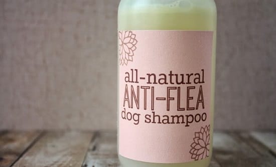 Anti-flea Shampoo