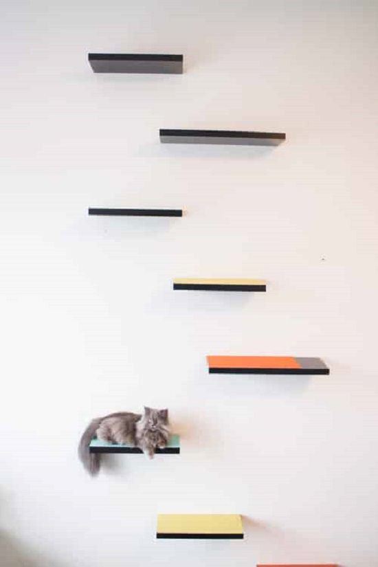 Climbing Cat Shelves