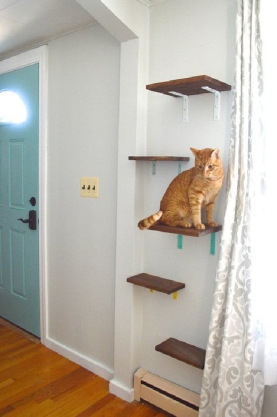 Wood Board Cat Floating Shelves