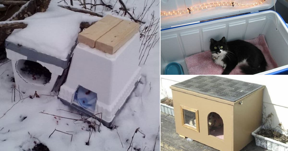 Diy Outdoor Cat House For Winter Online
