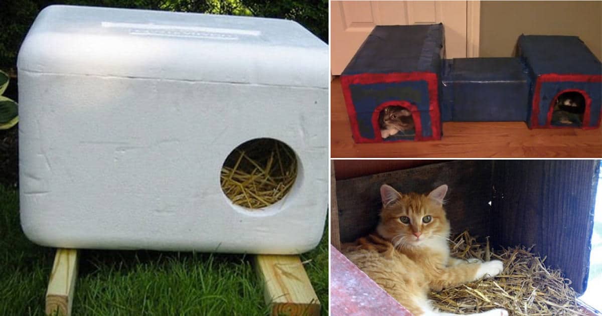 23 DIY Insulated Cat House Ideas For Outdoor Cats Bright Stuffs