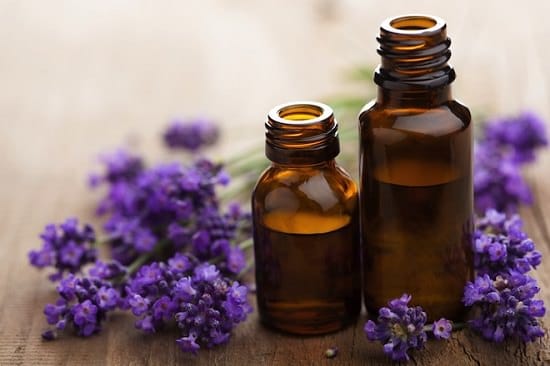 12 Best Essential Oils For Fertility And Libido ⋆ Bright Stuffs 